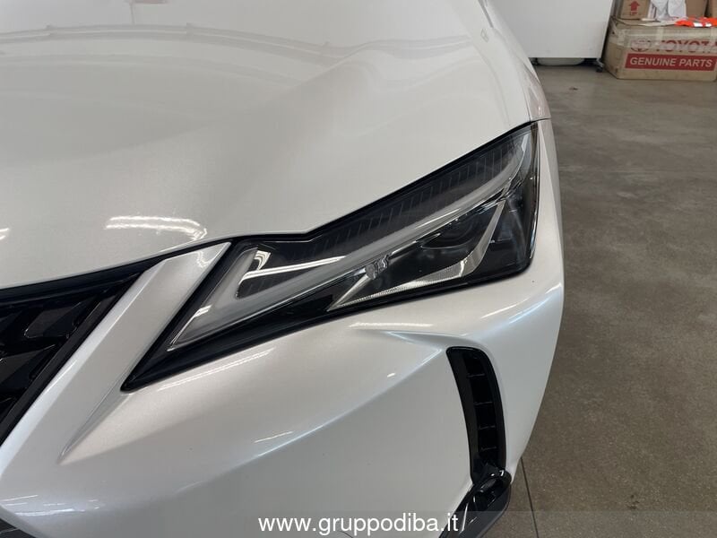 Lexus UX Hybrid UX 250h 2.0 Executive 2wd cvt my20- Gruppo Diba