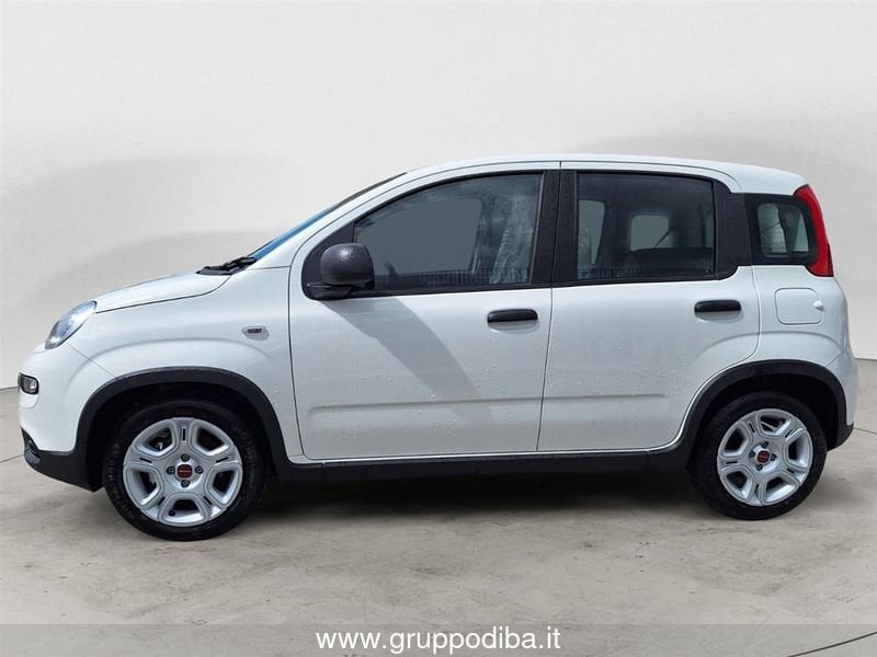 Fiat Panda Panda My23 1.0 70cv Hybrid Panda- Gruppo Diba