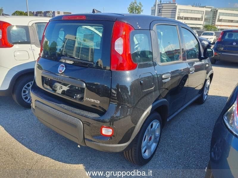 Fiat Panda Panda My23 1.0 70cv Hybrid Panda- Gruppo Diba