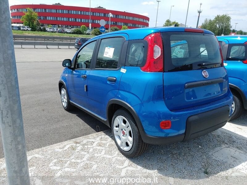 Fiat Panda Panda My23 1.0 70cv Hybrid Panda- Gruppo Diba