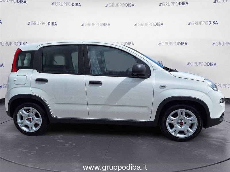 Fiat Panda Panda My24 1.0 70cv Hybrid Panda- Gruppo Diba