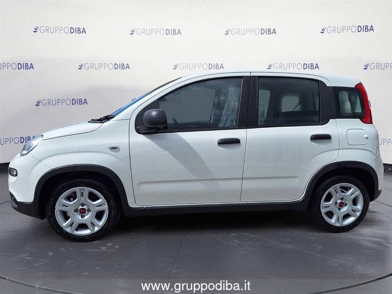 Fiat Panda Panda My24 1.0 70cv Hybrid Panda- Gruppo Diba