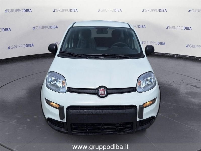 Fiat Panda Panda My24 1.0 70cv Hybrid Panda- Gruppo Diba