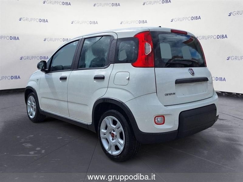 Fiat Panda Panda My23 1.0 70cv Hybrid Panda- Gruppo Diba