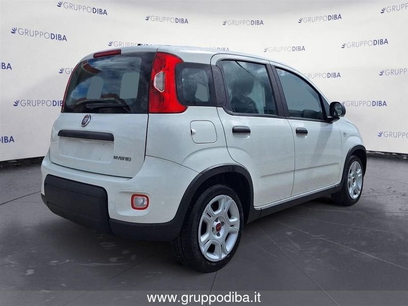 Fiat Panda Panda My23 1.0 70cv Hybrid Panda- Gruppo Diba