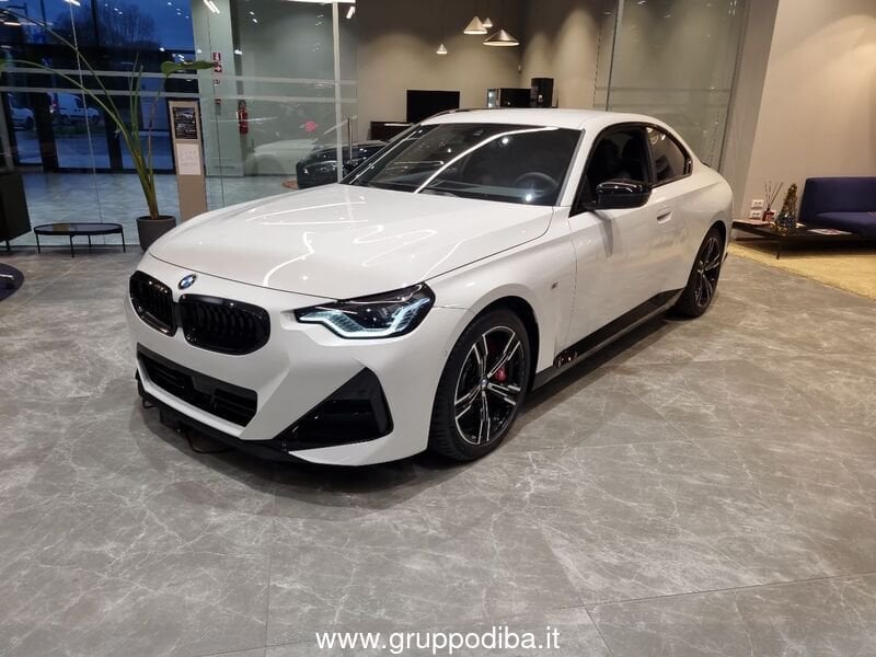 BMW Serie 2 Coupe 220D COUPÉ- Gruppo Diba