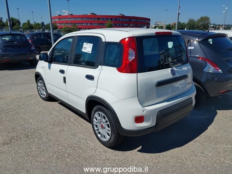 Fiat Panda Panda My24 1.0 70cv Hybrid Panda- Gruppo Diba