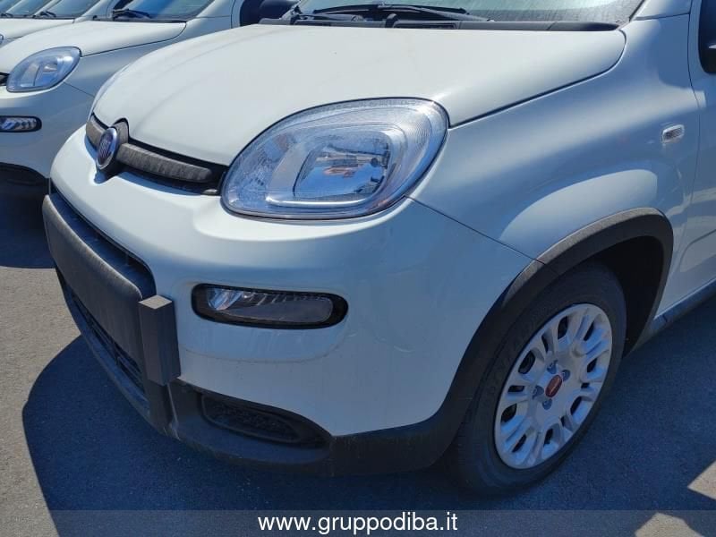 Fiat Panda Panda My24 1.0 70cv Hybrid Panda- Gruppo Diba