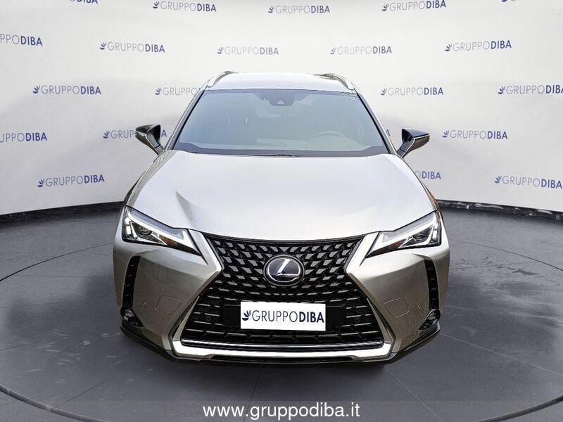 Lexus UX Hybrid UX 250h 2.0 Luxury 4wd cvt my20- Gruppo Diba