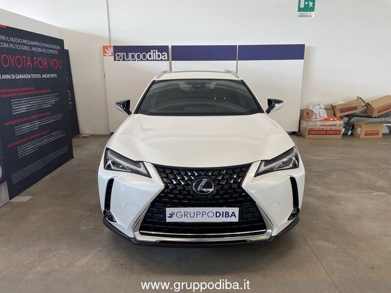 Lexus UX Hybrid UX 250h 2.0 Executive 2wd cvt my20- Gruppo Diba