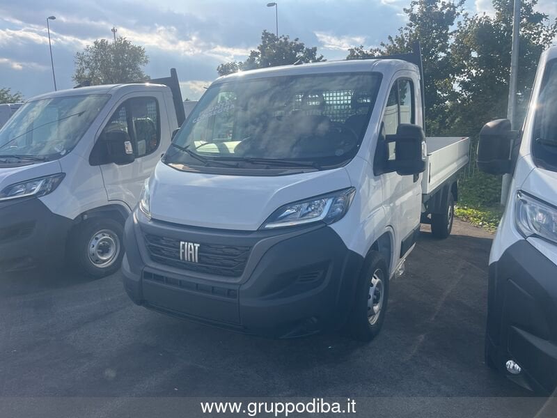 Fiat Professional Ducato Ducato Series 9 Autocarro Cabina Singola 35q Mh1 1- Gruppo Diba