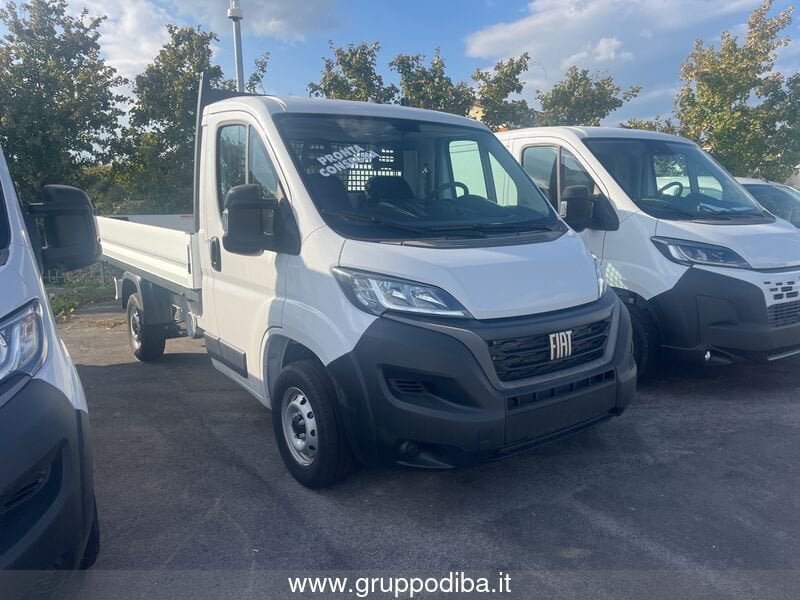 Fiat Professional Ducato Ducato Series 9 Autocarro Cabina Singola 35q Mh1 1- Gruppo Diba