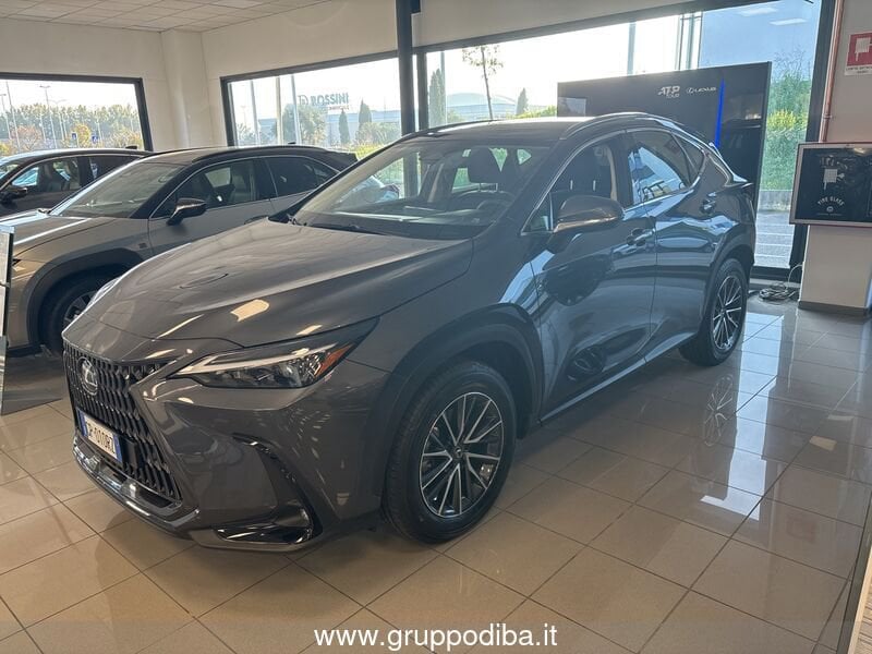 Lexus NX NX 2.5H ECVT 2WD BUSINESS MY24- Gruppo Diba