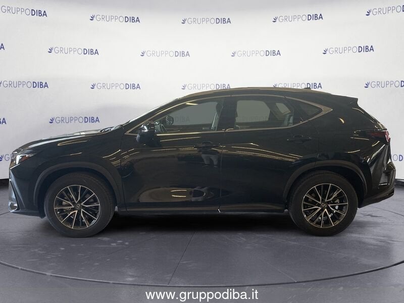 Lexus NX NX 2.5H ECVT 2WD BUSINESS MY24- Gruppo Diba