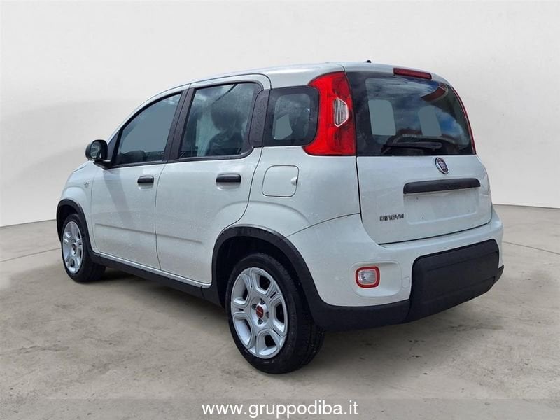 Fiat Panda Panda My23 1.0 70cv Hybrid Panda- Gruppo Diba