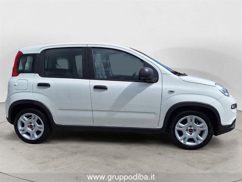 Fiat Panda Panda My23 1.0 70cv Hybrid Panda- Gruppo Diba