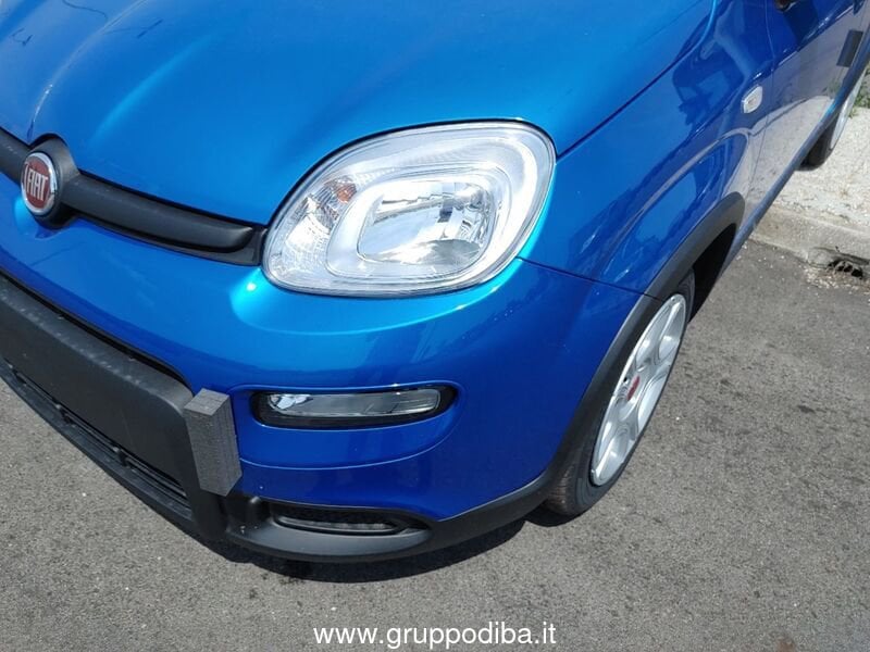 Fiat Panda Panda My23 1.0 70cv Hybrid Panda- Gruppo Diba