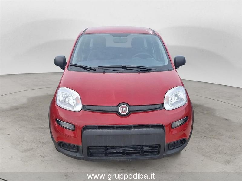 Fiat Panda Panda My24 1.0 70cv Hybrid Panda- Gruppo Diba