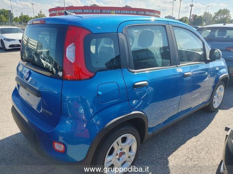 Fiat Panda Panda My23 1.0 70cv Hybrid Panda- Gruppo Diba