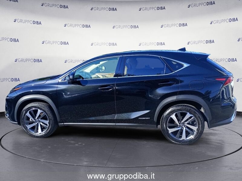 Lexus NX NX 300h 2.5 Luxury 4wd cvt- Gruppo Diba