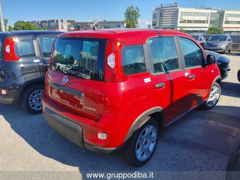 Fiat Panda Panda My23 1.0 70cv Hybrid Panda- Gruppo Diba