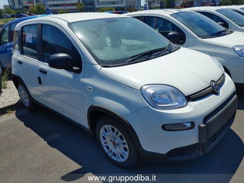 Fiat Panda Panda My24 1.0 70cv Hybrid Panda- Gruppo Diba