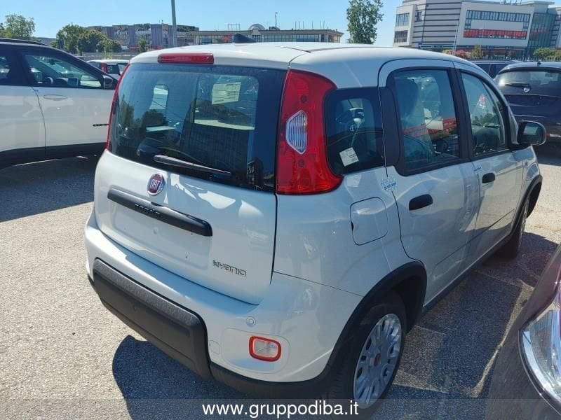 Fiat Panda Panda My24 1.0 70cv Hybrid Panda- Gruppo Diba